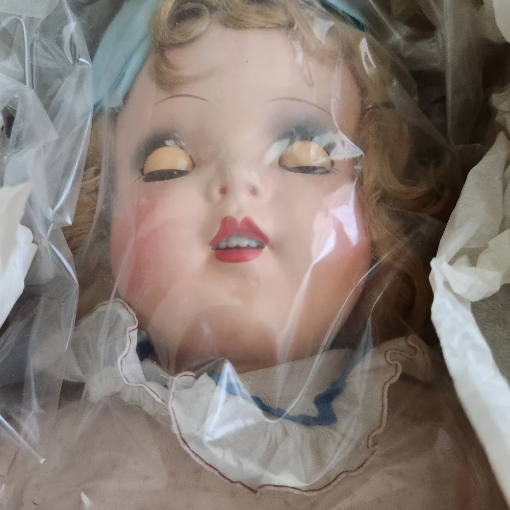 Rare Happitime Doll in Box 1950’s For Sears Roebuck - Picture 3 of 8